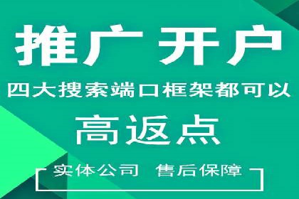 竞价推广的投放时机与频率：经典案例教学